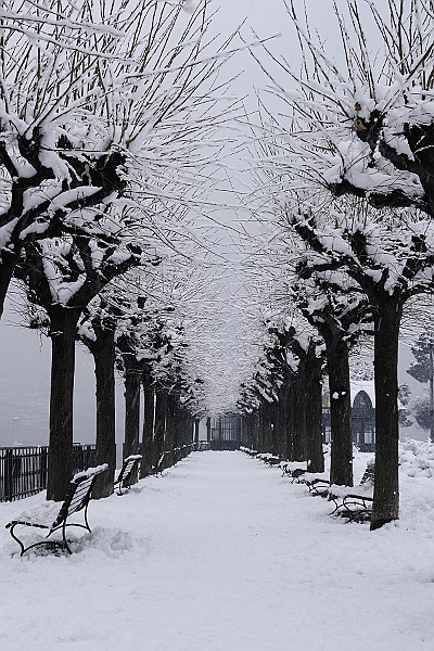 Lago di Como.JPG